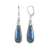 Boucles d'oreilles en argent et Labradorite