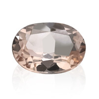  Morganite 0,75 ct (gemme et boîte de collection)