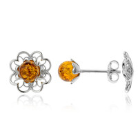 Boucles d'oreilles en argent et Ambre baltique
