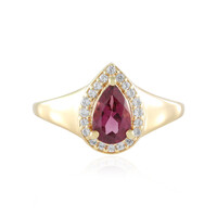 Bague en argent et Grenat Umbalite