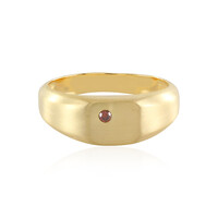 Bague en argent et Diamant rouge I3