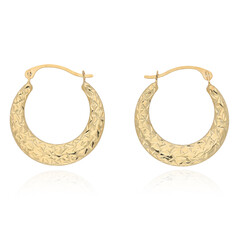 Boucles d'oreilles en or