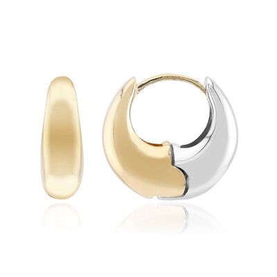 Boucles d'oreilles en argent