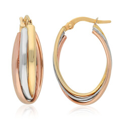 Boucles d'oreilles en or