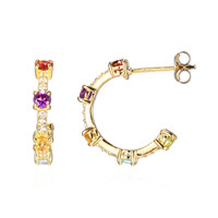 Boucles d'oreilles en argent et Grenat