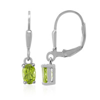 Boucles d'oreilles en argent et Péridot de Birmanie