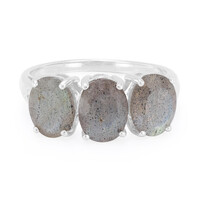 Bague en argent et Labradorite
