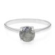 Bague en argent et Spectrolite