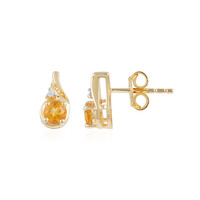 Boucles d'oreilles en argent et Citrine