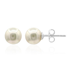 Boucles d'oreilles en argent et Perle d'Akoya (TPC)