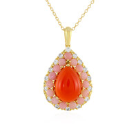 Collier en argent et Cornaline