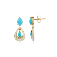 Boucles d'oreilles en argent et Turquoise Sleeping Beauty