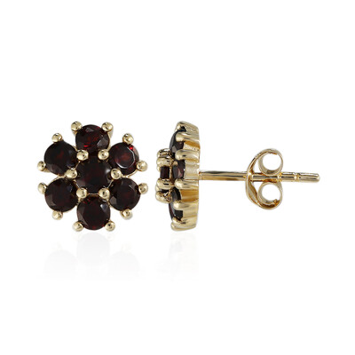 Boucles d'oreilles en argent et Grenat