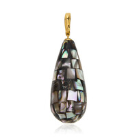 Pendentif en argent et Coquillage d'Abalone