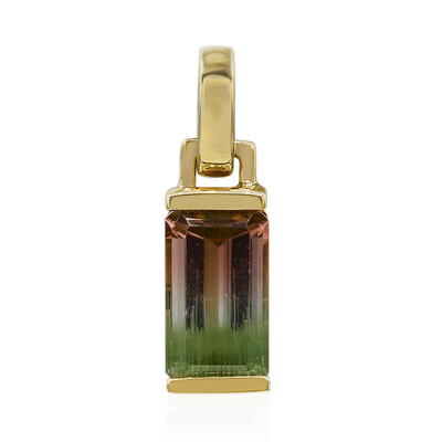 Pendentif en or et Tourmaline multicolore