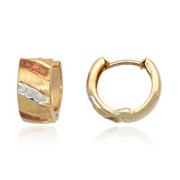 Boucles d'oreilles en or