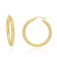Boucles d'oreilles en argent