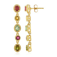 Boucles d'oreilles en argent et Tourmaline