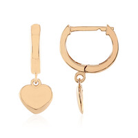 Boucles d'oreilles en argent