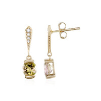 Boucles d'oreilles en or et Tourmaline du Brésil (AMAYANI)