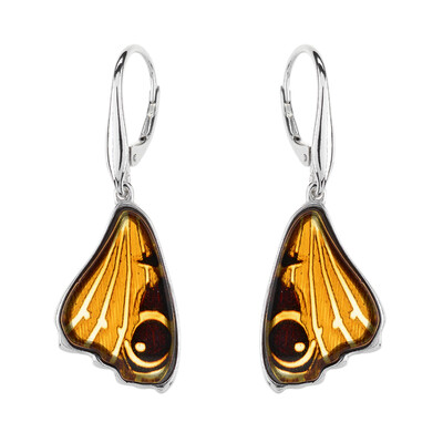 Boucles d'oreilles en argent et Ambre baltique (dagen)
