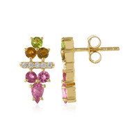 Boucles d'oreilles en argent et Tourmaline