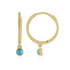 Boucles d'oreilles en argent et Turquoise