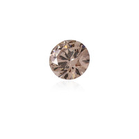  Diamant chocolat SI1 0,26 ct (gemme et boîte de collection)