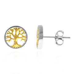 Boucles d'oreilles en argent