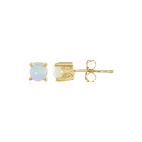 Boucles d'oreilles en argent et Opale Welo