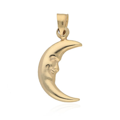 Pendentif en or
