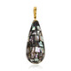 Pendentif en argent et Coquillage d'Abalone