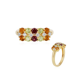 Bague en argent et Grenat Rhodolite