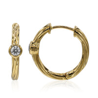 Boucles d'oreilles en or et Diamant IF (D)