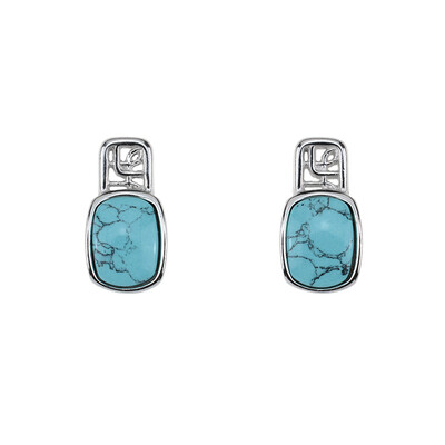 Boucles d'oreilles en argent et Turquoise (dagen)
