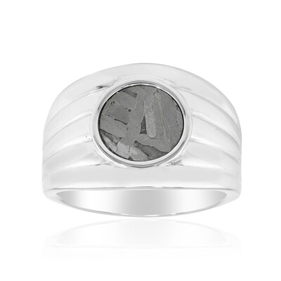 Bague en argent et Météorite d'Alétaï