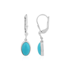 Boucles d'oreilles en argent et Turquoise Sleeping Beauty