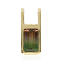 Pendentif en or et Tourmaline multicolore