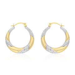 Boucles d'oreilles en or