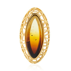 Pendentif en argent et Ambre baltique
