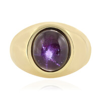 Bague en argent et Grenat étoilé