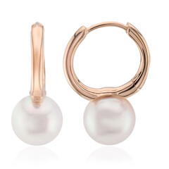 Boucles d'oreilles en or et Perle d'Akoya (TPC)