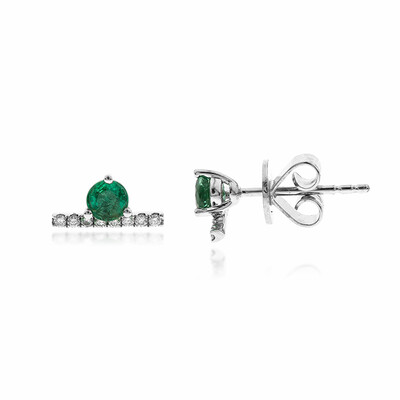 Boucles d'oreilles en or et Emeraude de Zambie AAA (CIRARI)