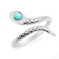 Bague en argent et Turquoise de Campitos (Anne Bever)