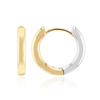 Boucles d'oreilles en argent