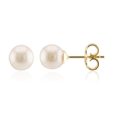 Boucles d'oreilles en argent et Perle d'Akoya (TPC)
