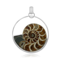 Pendentif en argent et Ammonite