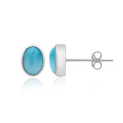 Boucles d'oreilles en argent et Larimar