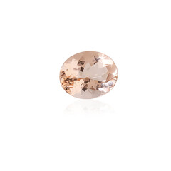  Morganite de Madagascar 2,464 ct (gemme et boîte de collection)