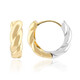 Boucles d'oreilles en argent